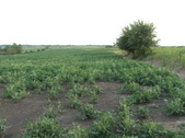 Enlarge photo 94