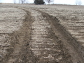 Enlarge photo 114