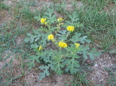 Enlarge photo 37
