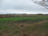 Enlarge photo 53