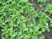 Enlarge photo 56