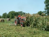 Enlarge photo 98