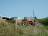 Enlarge photo 102