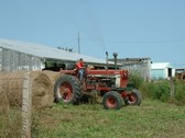 Enlarge photo 103