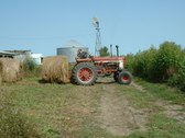 Enlarge photo 108