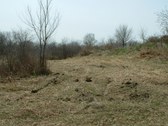 Enlarge photo 76