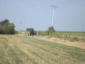 Enlarge photo 38