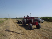 Enlarge photo 41