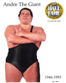 Hall Of Fame Promos