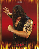 TNA New Flame Promos