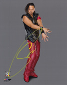 Enlarge photo 455