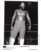 WWF Unsigned Promos