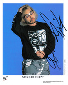 Enlarge photo 560