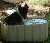Enlarge photo 19