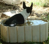 Enlarge photo 18
