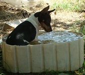 Enlarge photo 17