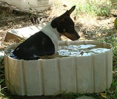 Enlarge photo 22