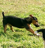 Enlarge photo 24