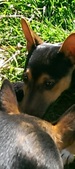 Enlarge photo 14