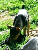 Enlarge photo 15