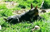 Enlarge photo 13