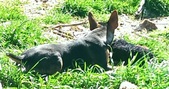 Enlarge photo 12