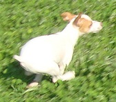 Enlarge photo 20