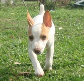 Enlarge photo 23