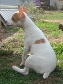 Enlarge photo 24