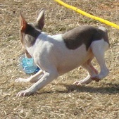 Enlarge photo 21