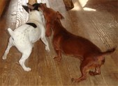 Enlarge photo 16