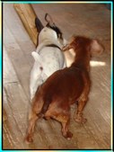 Enlarge photo 15