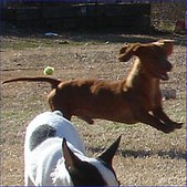 Enlarge photo 24