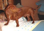 Enlarge photo 18