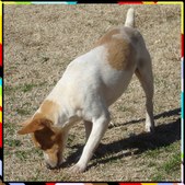 Enlarge photo 10