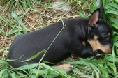 Enlarge photo 24