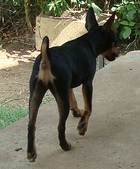 Enlarge photo 9