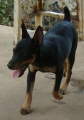 Enlarge photo 8
