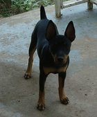 Enlarge photo 7