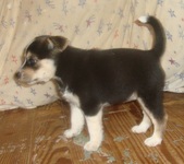Enlarge photo 12