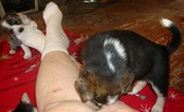 Enlarge photo 8