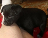 Enlarge photo 3