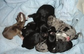 Enlarge photo 14