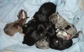 Enlarge photo 13