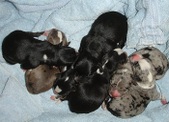 Enlarge photo 11