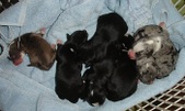 Enlarge photo 10