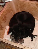 Enlarge photo 15