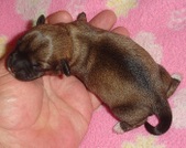 Enlarge photo 5