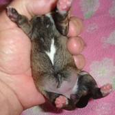 Enlarge photo 4
