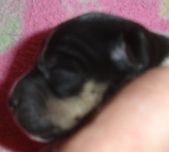 Enlarge photo 3